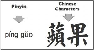 pinyin-panda learn Chinese