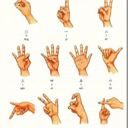 numbers-by-body-language